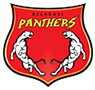 Belagavi Panthers