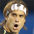 David Ferrer