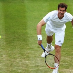 Andy Murray Wimbledon 2015