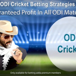 ODI Cricket Betting Strategies